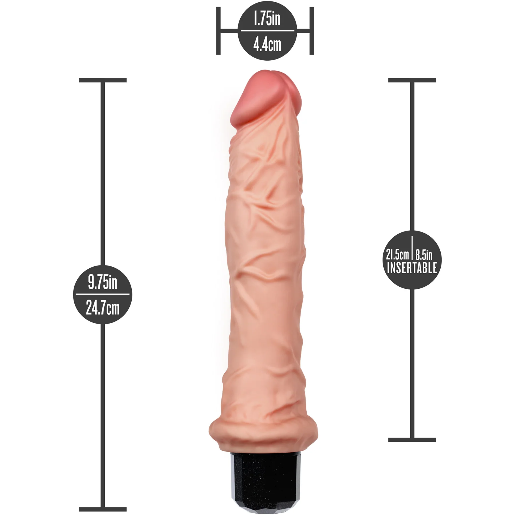 Dr. Skin Silicone Dr. Webber Waterproof Vibrating 9.75" Dildo By Blush - Image 13