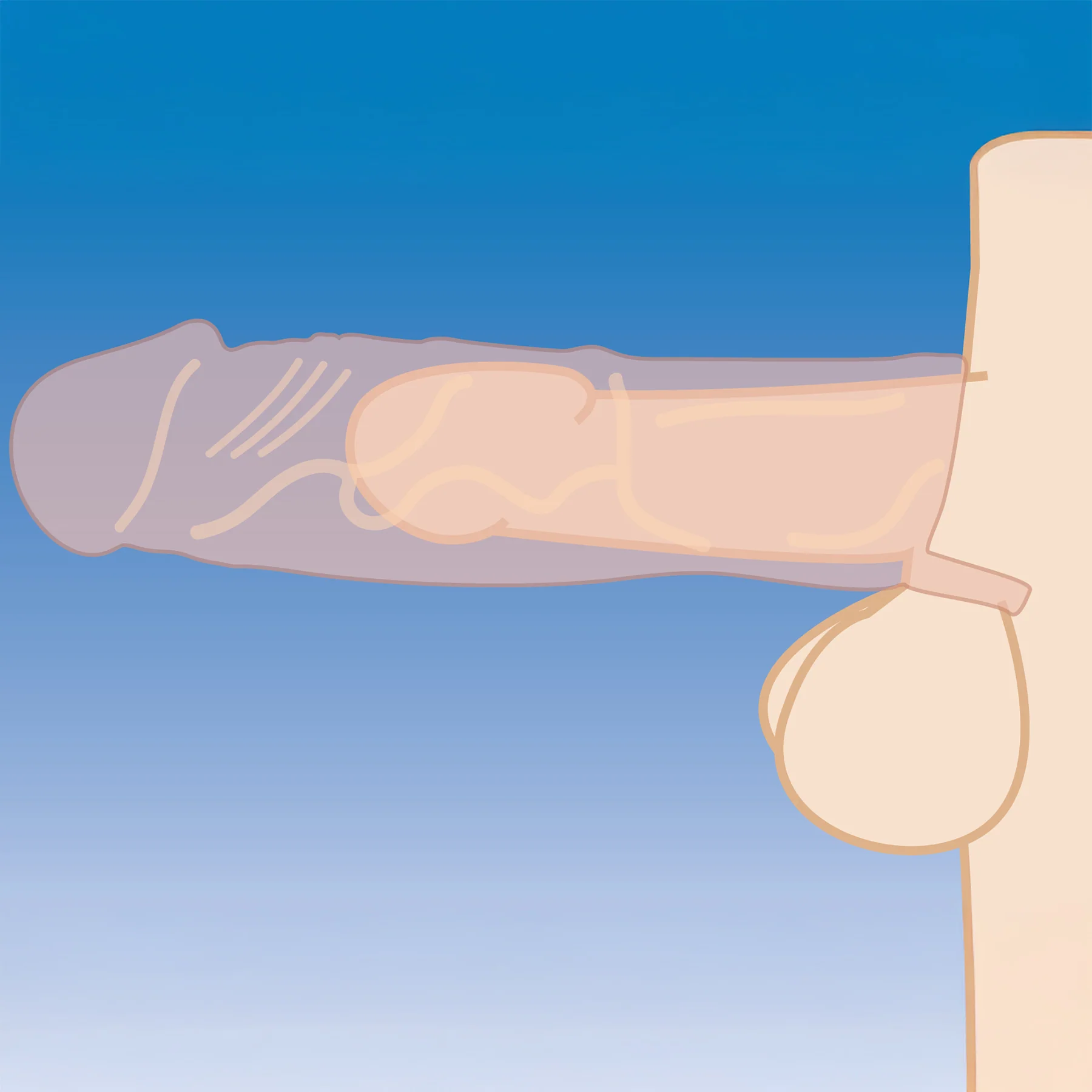 Size Matters Silicone 2" Penis Extender - Image 6